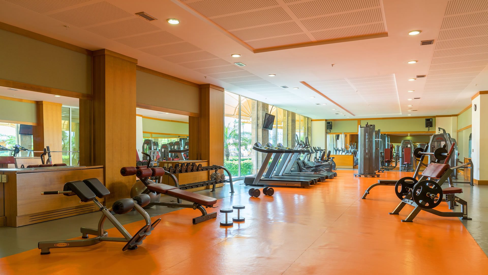 Gym